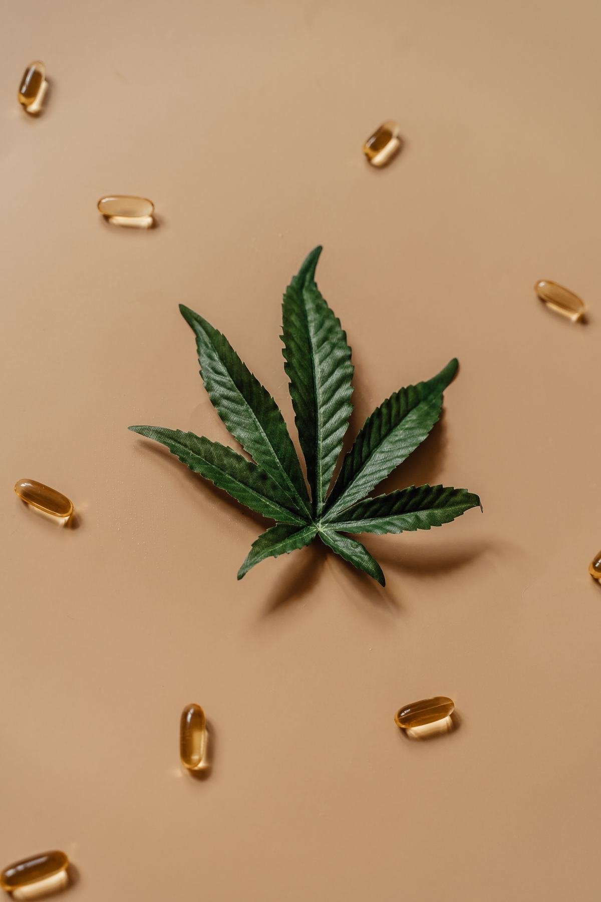 Cápsulas espalhadas ao redor de uma folha de cannabis em fundo bege