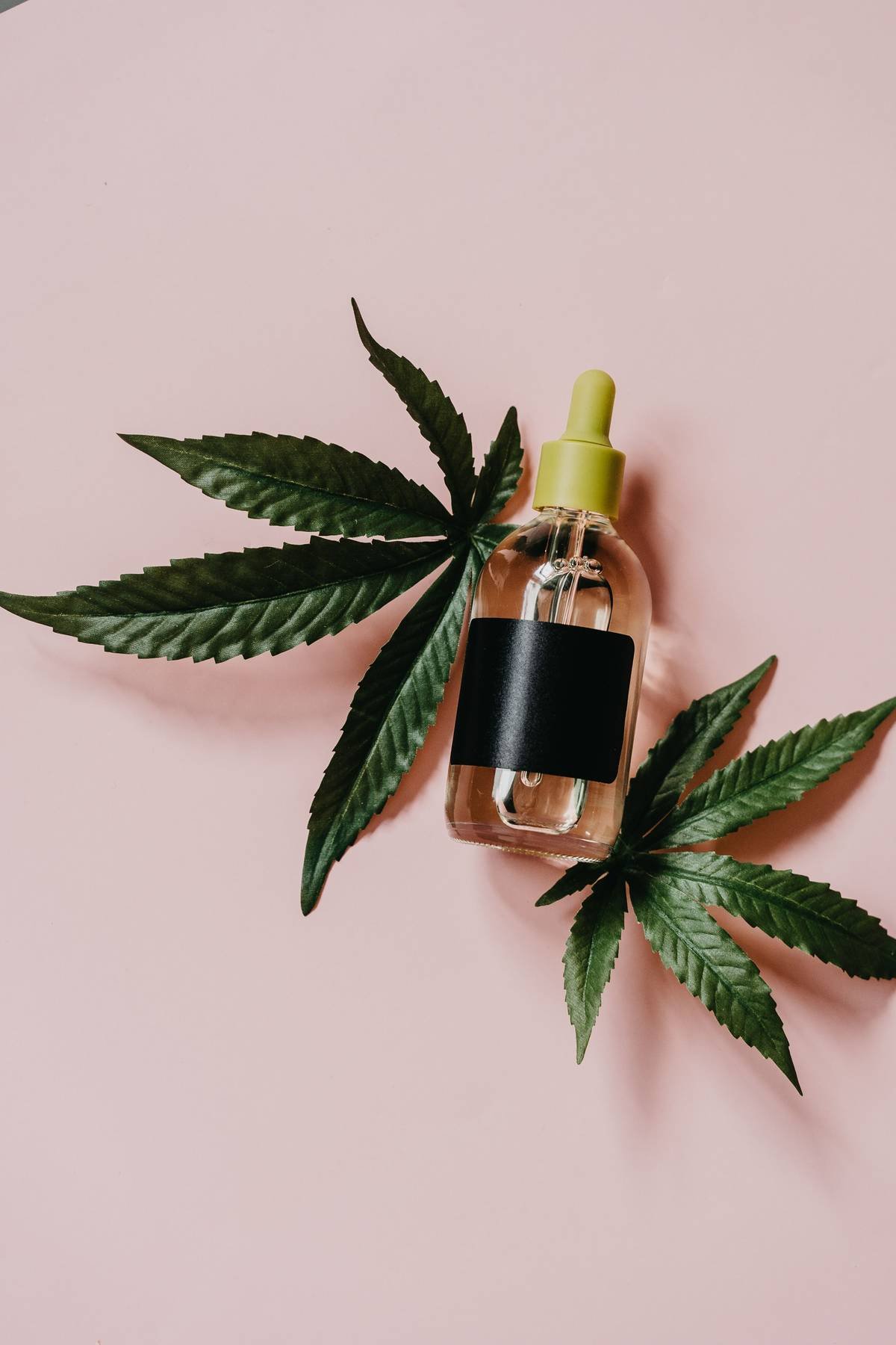 Frasco escuro de óleo de canabidiol apoiado sobre folhas de cannabis